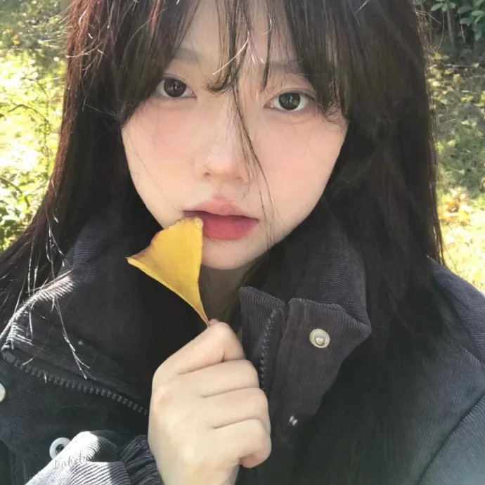 七鹰大厦宝藏